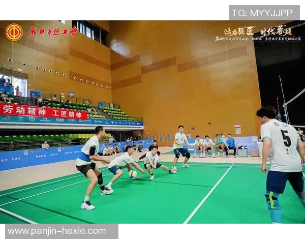 成都排球队荣登排球节奏排行榜第一名引领全国排球风潮