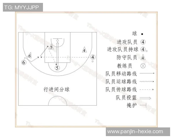 独家解析西安排球队的节奏差异与战术影响分析