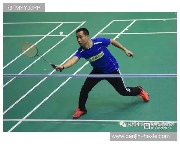 西安羽毛球队进攻策略分析与得失总结探讨